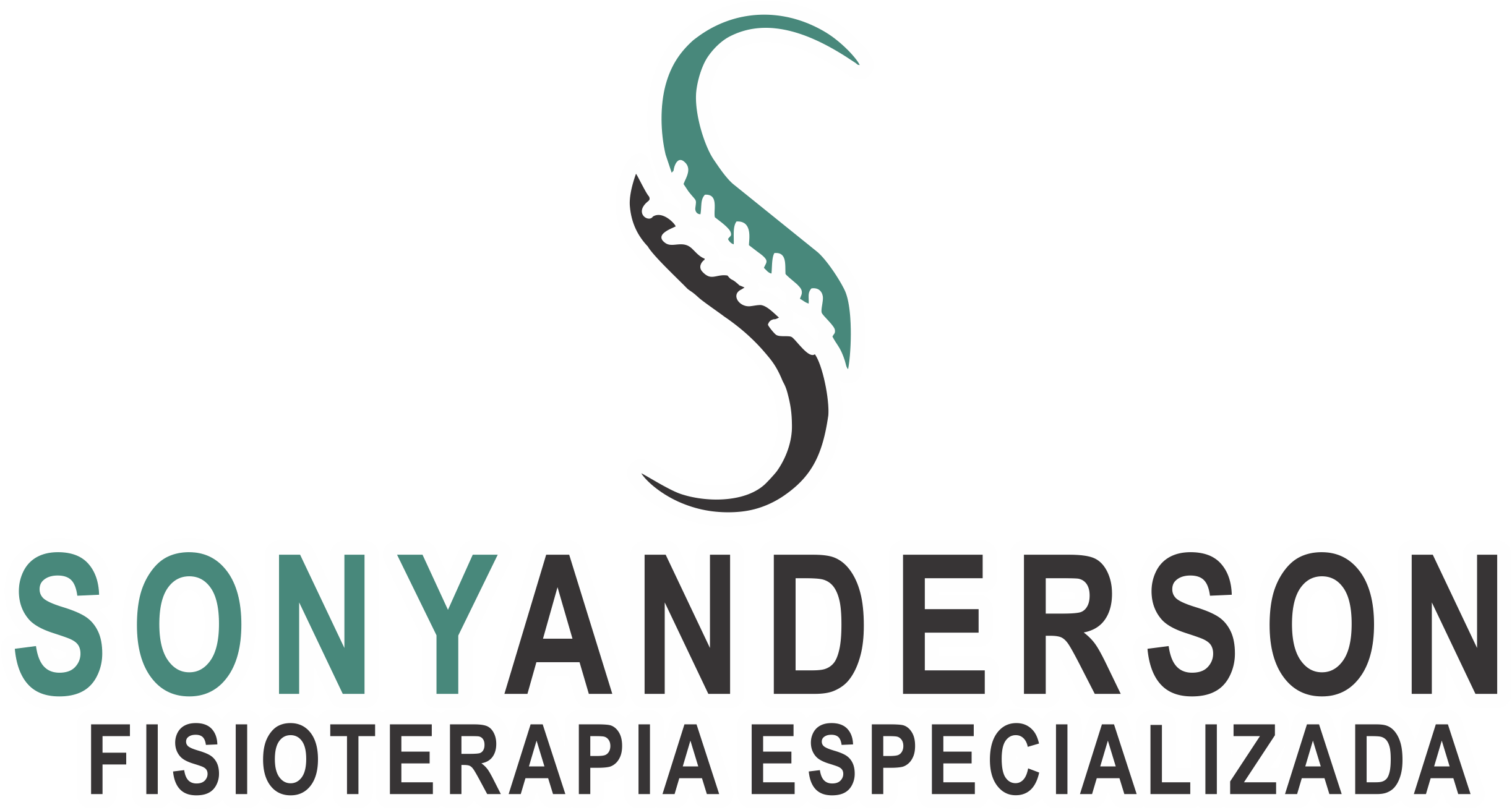 Sonyanderson fisioterapeuta